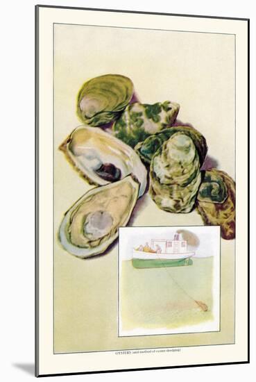 Oysters-null-Mounted Art Print