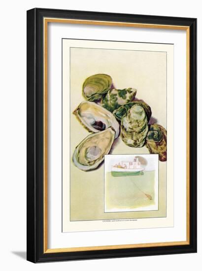 Oysters-null-Framed Art Print