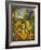 Oz-Bill Bell-Framed Giclee Print