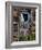 Ozz-Jim Crotty-Framed Photographic Print