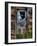 Ozz-Jim Crotty-Framed Photographic Print