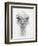 Ozzy-Barbara Keith-Framed Giclee Print