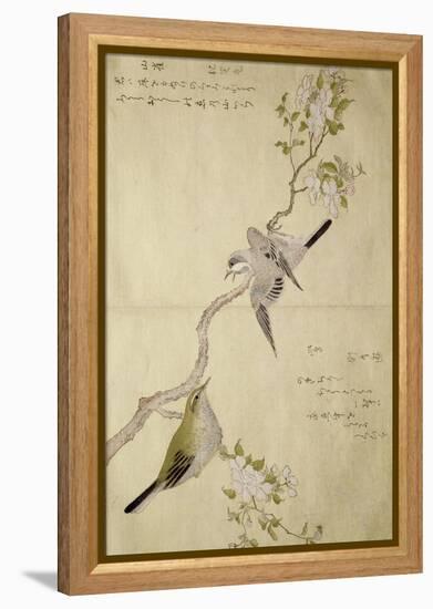 P.332-1946 Vol.1 F.2 Tit on a Bough on the Right and a Bush-Warbler on a Branch on the Left, from…-Kitagawa Utamaro-Framed Premier Image Canvas