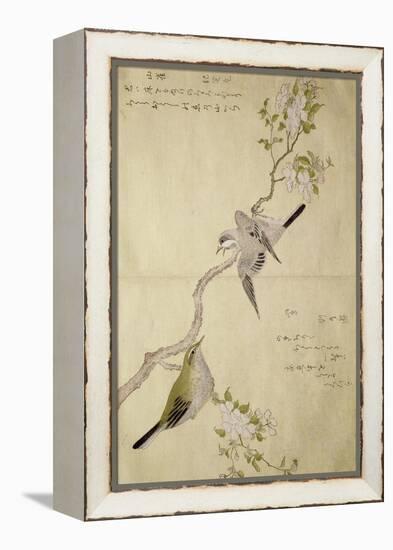 P.332-1946 Vol.1 F.2 Tit on a Bough on the Right and a Bush-Warbler on a Branch on the Left, from…-Kitagawa Utamaro-Framed Premier Image Canvas