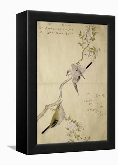 P.332-1946 Vol.1 F.2 Tit on a Bough on the Right and a Bush-Warbler on a Branch on the Left, from…-Kitagawa Utamaro-Framed Premier Image Canvas