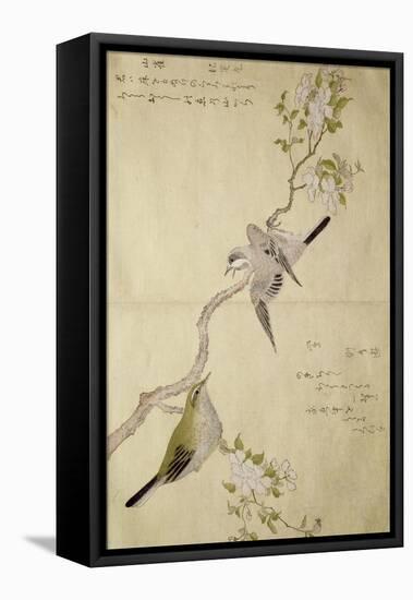 P.332-1946 Vol.1 F.2 Tit on a Bough on the Right and a Bush-Warbler on a Branch on the Left, from…-Kitagawa Utamaro-Framed Premier Image Canvas