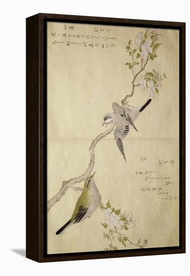 P.332-1946 Vol.1 F.2 Tit on a Bough on the Right and a Bush-Warbler on a Branch on the Left, from…-Kitagawa Utamaro-Framed Premier Image Canvas