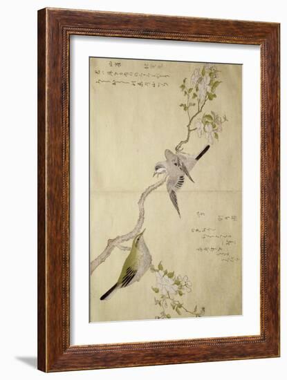 P.332-1946 Vol.1 F.2 Tit on a Bough on the Right and a Bush-Warbler on a Branch on the Left, from…-Kitagawa Utamaro-Framed Giclee Print