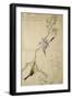 P.332-1946 Vol.1 F.2 Tit on a Bough on the Right and a Bush-Warbler on a Branch on the Left, from…-Kitagawa Utamaro-Framed Giclee Print
