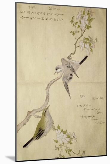 P.332-1946 Vol.1 F.2 Tit on a Bough on the Right and a Bush-Warbler on a Branch on the Left, from…-Kitagawa Utamaro-Mounted Giclee Print