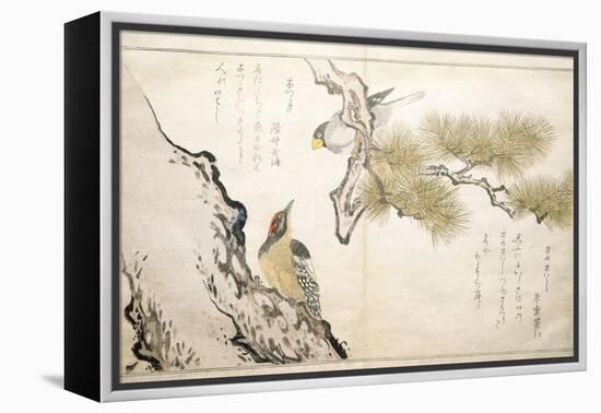 P.332-1946 Vol.1 F.3 Hawfinch and a Woodpecker, from an Album 'Birds Compared in Humorous Songs',…-Kitagawa Utamaro-Framed Premier Image Canvas