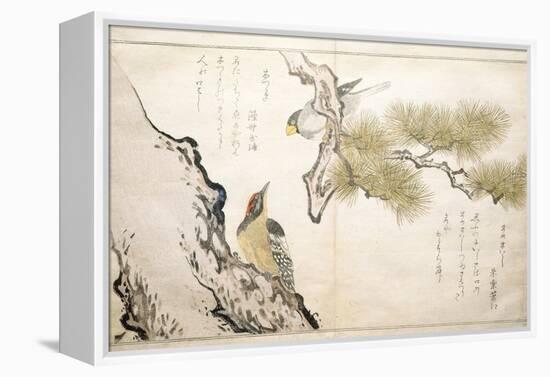 P.332-1946 Vol.1 F.3 Hawfinch and a Woodpecker, from an Album 'Birds Compared in Humorous Songs',…-Kitagawa Utamaro-Framed Premier Image Canvas