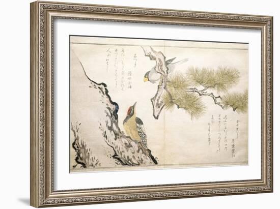 P.332-1946 Vol.1 F.3 Hawfinch and a Woodpecker, from an Album 'Birds Compared in Humorous Songs',…-Kitagawa Utamaro-Framed Giclee Print