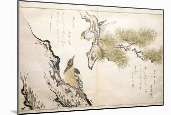 P.332-1946 Vol.1 F.3 Hawfinch and a Woodpecker, from an Album 'Birds Compared in Humorous Songs',…-Kitagawa Utamaro-Mounted Giclee Print