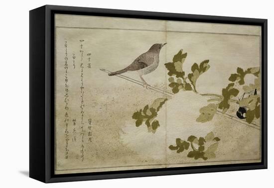 P.332-1946 Vol.2 F.2 Manchurian Great Tit and a Robin, from an Album 'Birds Compared in Humorous…-Kitagawa Utamaro-Framed Premier Image Canvas