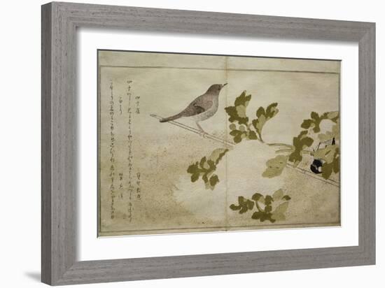 P.332-1946 Vol.2 F.2 Manchurian Great Tit and a Robin, from an Album 'Birds Compared in Humorous…-Kitagawa Utamaro-Framed Giclee Print