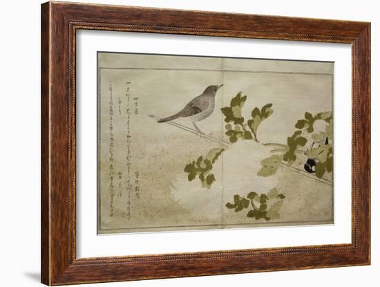 P.332-1946 Vol.2 F.2 Manchurian Great Tit and a Robin, from an Album 'Birds Compared in Humorous…-Kitagawa Utamaro-Framed Giclee Print