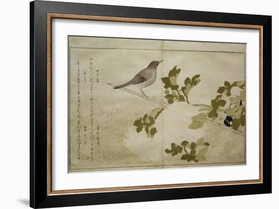 P.332-1946 Vol.2 F.2 Manchurian Great Tit and a Robin, from an Album 'Birds Compared in Humorous…-Kitagawa Utamaro-Framed Giclee Print
