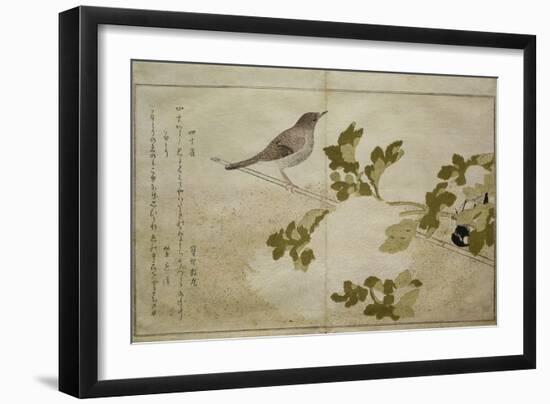 P.332-1946 Vol.2 F.2 Manchurian Great Tit and a Robin, from an Album 'Birds Compared in Humorous…-Kitagawa Utamaro-Framed Giclee Print