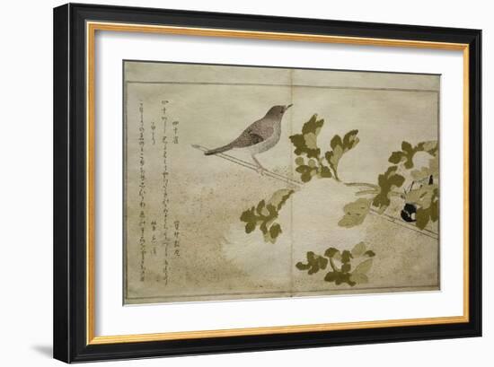 P.332-1946 Vol.2 F.2 Manchurian Great Tit and a Robin, from an Album 'Birds Compared in Humorous…-Kitagawa Utamaro-Framed Giclee Print