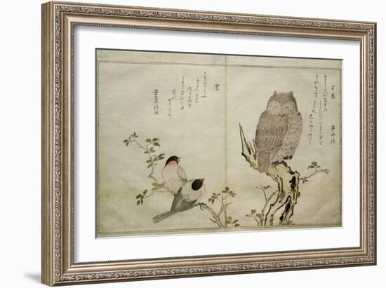 P.332-1946 Vol.2 F.4 an Owl and Two Eastern Bullfinches, from an Album 'Birds Compared in…-Kitagawa Utamaro-Framed Giclee Print