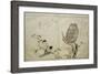 P.332-1946 Vol.2 F.4 an Owl and Two Eastern Bullfinches, from an Album 'Birds Compared in…-Kitagawa Utamaro-Framed Giclee Print