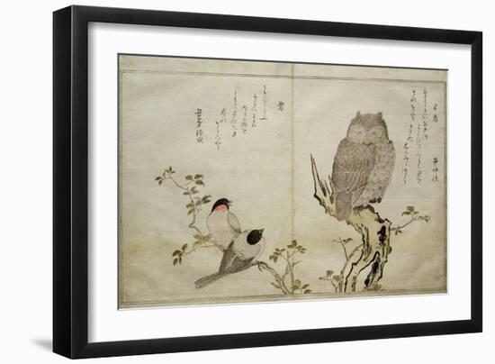 P.332-1946 Vol.2 F.4 an Owl and Two Eastern Bullfinches, from an Album 'Birds Compared in…-Kitagawa Utamaro-Framed Giclee Print