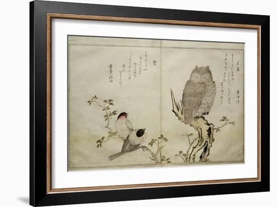 P.332-1946 Vol.2 F.4 an Owl and Two Eastern Bullfinches, from an Album 'Birds Compared in…-Kitagawa Utamaro-Framed Giclee Print