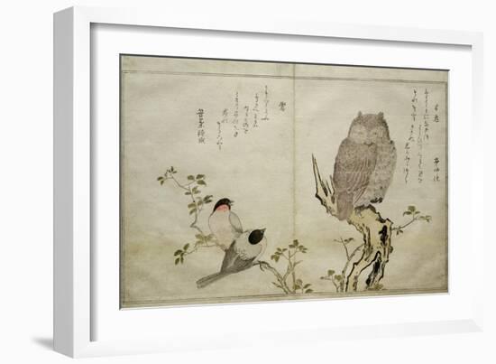 P.332-1946 Vol.2 F.4 an Owl and Two Eastern Bullfinches, from an Album 'Birds Compared in…-Kitagawa Utamaro-Framed Giclee Print