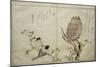 P.332-1946 Vol.2 F.4 an Owl and Two Eastern Bullfinches, from an Album 'Birds Compared in…-Kitagawa Utamaro-Mounted Giclee Print