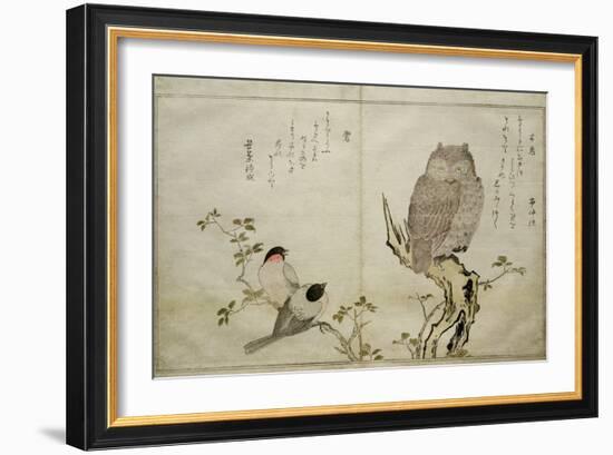 P.332-1946 Vol.2 F.4 an Owl and Two Eastern Bullfinches, from an Album 'Birds Compared in…-Kitagawa Utamaro-Framed Giclee Print