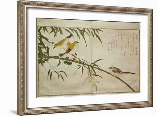 P.332-1946 Vol.2 F.6 Long-Tailed Tit and Three White Eyes, from an Album 'Birds Compared in…-Kitagawa Utamaro-Framed Giclee Print