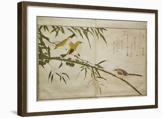 P.332-1946 Vol.2 F.6 Long-Tailed Tit and Three White Eyes, from an Album 'Birds Compared in…-Kitagawa Utamaro-Framed Giclee Print