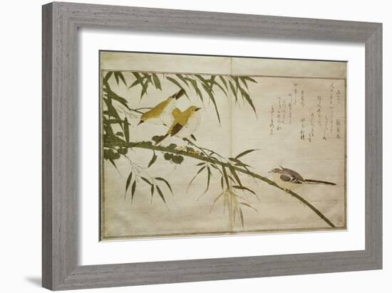 P.332-1946 Vol.2 F.6 Long-Tailed Tit and Three White Eyes, from an Album 'Birds Compared in…-Kitagawa Utamaro-Framed Giclee Print