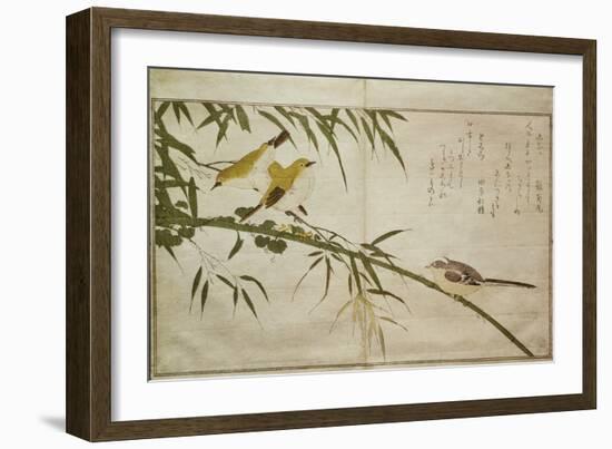 P.332-1946 Vol.2 F.6 Long-Tailed Tit and Three White Eyes, from an Album 'Birds Compared in…-Kitagawa Utamaro-Framed Giclee Print