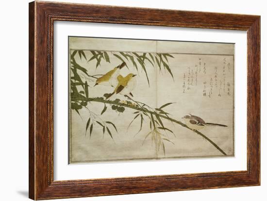 P.332-1946 Vol.2 F.6 Long-Tailed Tit and Three White Eyes, from an Album 'Birds Compared in…-Kitagawa Utamaro-Framed Giclee Print