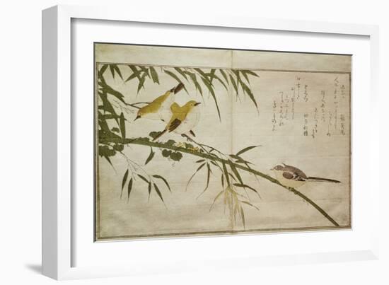 P.332-1946 Vol.2 F.6 Long-Tailed Tit and Three White Eyes, from an Album 'Birds Compared in…-Kitagawa Utamaro-Framed Giclee Print