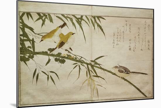 P.332-1946 Vol.2 F.6 Long-Tailed Tit and Three White Eyes, from an Album 'Birds Compared in…-Kitagawa Utamaro-Mounted Giclee Print