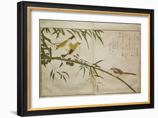 P.332-1946 Vol.2 F.6 Long-Tailed Tit and Three White Eyes, from an Album 'Birds Compared in…-Kitagawa Utamaro-Framed Giclee Print