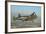 P-38 Lightning Flying over Chino, California-Stocktrek Images-Framed Photographic Print