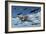 P-47 Thunderbolts Escorting B-17 Flying Fortress Bombers-null-Framed Art Print