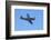 P-51 Mustang, American Fighter Plane, War Plane-David Wall-Framed Photographic Print