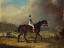 Mr. Hindley's Brown Filly 'Rosina' by 'Romulus' Ridden by the Owner on Lincoln Race Course-P. Ewbank-Mounted Giclee Print