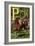 P For the Pony That Plays In the Park-Edmund Evans-Framed Art Print