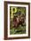 P For the Pony That Plays In the Park-Edmund Evans-Framed Art Print