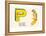 P is a Parrot-null-Framed Stretched Canvas