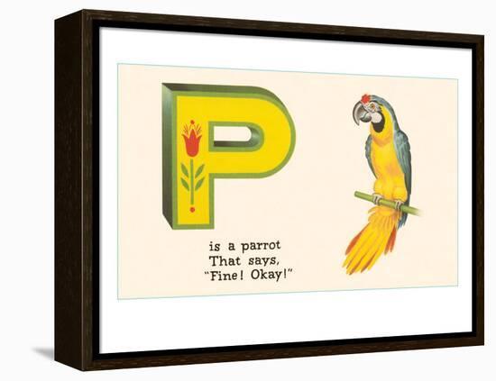 P is a Parrot-null-Framed Stretched Canvas