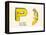 P is a Parrot-null-Framed Stretched Canvas