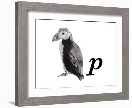 P is for Puffin-Stacy Hsu-Framed Art Print