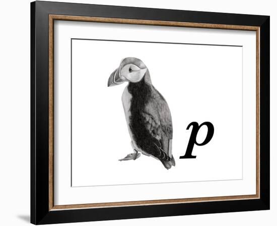 P is for Puffin-Stacy Hsu-Framed Art Print